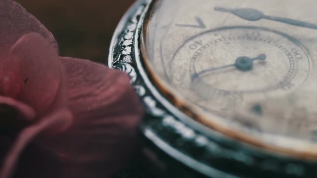 Close-up of pocket watch Next to a gently pink violet flower and passage of time