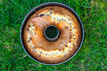 baked raisin pound cake placed in the green grass