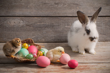chicken and rabbit with Easter eggs on wooden background