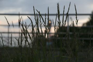 Hamburg Wittenbergen bei Sonnenuntergang