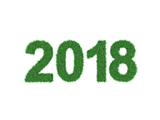 New Year 2018 - 3D Rendered Image