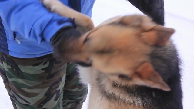 Angry Dog Attack Man Playing With Owner