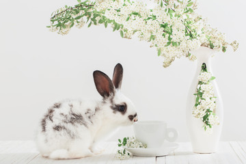 little rabbit with spring flowers