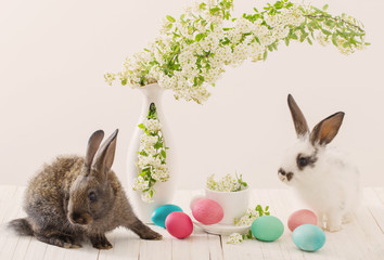 Rabbit and flowers in a vase on a white background