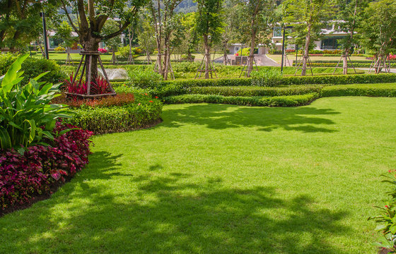 Landscaped Formal Garden,front yard with garden design,Peaceful Garden with tree shade