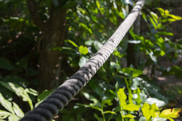 Fototapeta premium Rope on a trail in the jungle