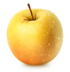 Isolated apple. Whole yellow (golden) apple fruit isolated on white, with clipping path