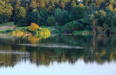 Evening summer lake landscape.