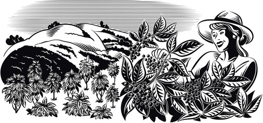 Landscape with Girl, which collects in a coffee plantation.