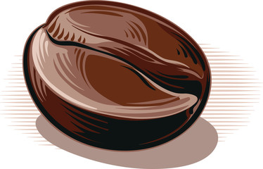 coffee bean, toasted on a white background.