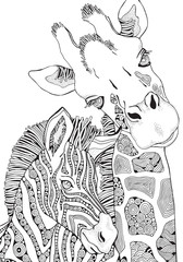 Coloring Book page for Adult and children. Giraffe and Zebra