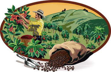 oval frame, with bags of coffee and coffee bin man on a plantation.