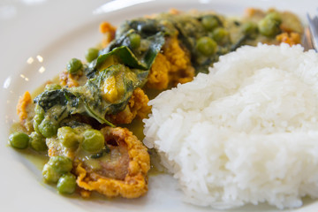 Thai Green Curry with Chicken fried with rice