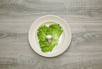 Dieting