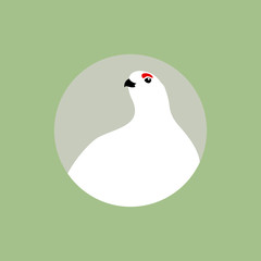 partridge polar vector illustration style Flat