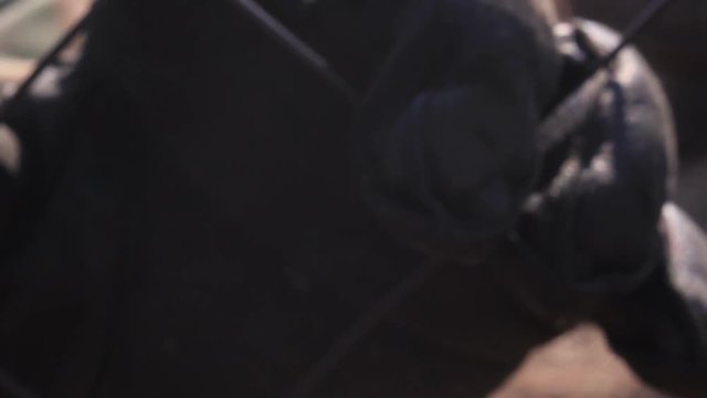 Hand in Black Gloves Touching Metal Wire Fence