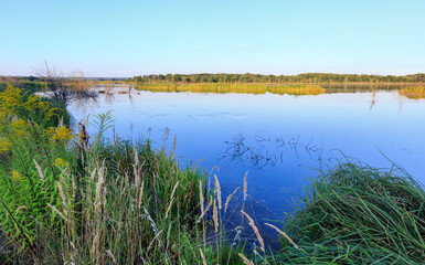 Evening summer lake landscape.