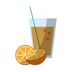 orange fruit over white background. colorful design. vector illustration