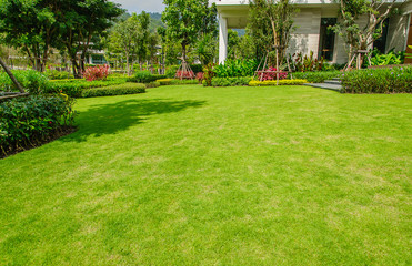 Landscaped Formal Garden,front yard with garden design,Peaceful Garden