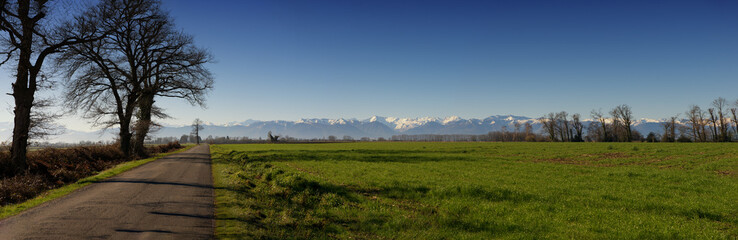 panorama of countryside, Pyrenees mountains in background