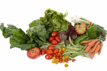 Different seasonal vegetables on white