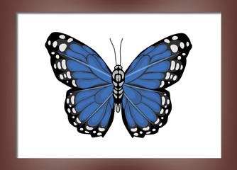 Painting with butterflies.
