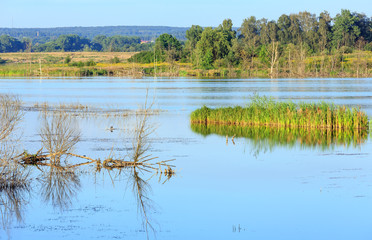 Evening summer lake landscape.
