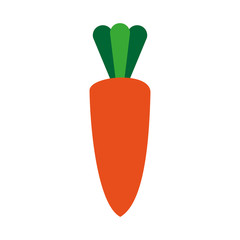 carrot vegetable icon over white background. colorful design. vector illustration