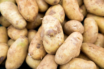 Fresh potatoes in the market