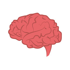 human brain icon over white background. colorful design. vector illustration