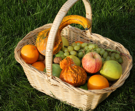 fresh seasonal fruits in the wicker basket on the lawn