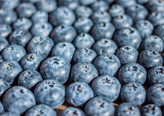 fresh big blueberries selective focus
