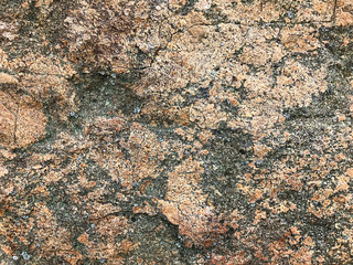 The texture of the stone.