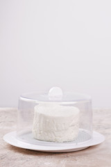 Wheel of brazilian traditional cheese Minas