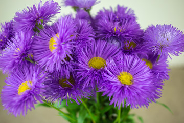 wild  flowers, gift spring bouquet. declaration of love.