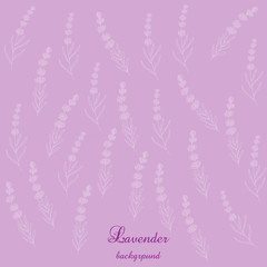 Lavender flowers bsckground