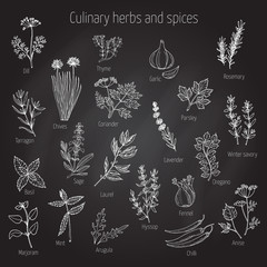 Set of culinary herbs and spices