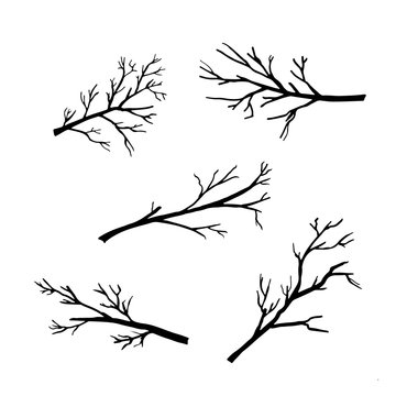 Hand drawn silhouettes of tree branches