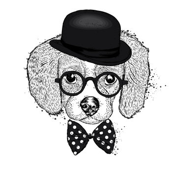 Funny puppy in a hat and a butterfly. Vector illustration. Beautiful dog.
