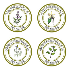 Set of essential oil labels sage, vanilla, chamomile, marjoram