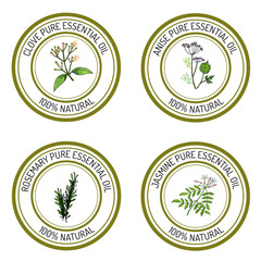 Set of essential oil labels clove anise rosemary jasmine.