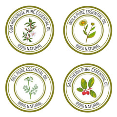 Set of essential oil labels gum rockrose, inula, dill, gaulther