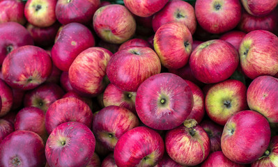 apples. organic apples in the green box