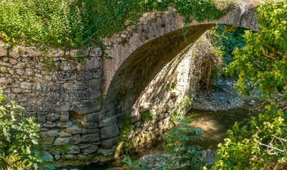 Fototapeta na wymiar Medieval stone arched bridge over a stream in the woods