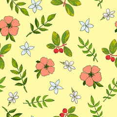 Seamless pattern with hand drawn medicinal plants