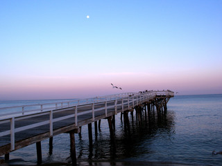 Obraz premium OLYMPUS DIGITAL CAMERA