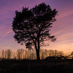 Sonnenuntergang mit Hochstand und Bäumen auf einem Feld 