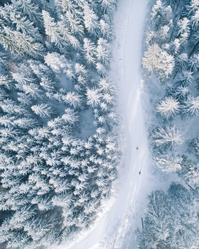 Skiing