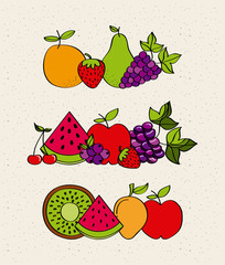 healthy fruits colorful design. vector illustration EPS10
