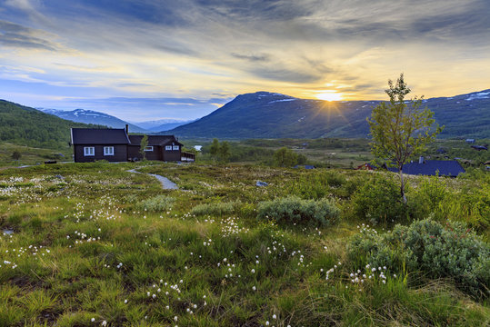 Sunset in the Hardangervidda National Park in Norway with the typical houses immersed into the grass filled by nordic cottongrass, Hordaland